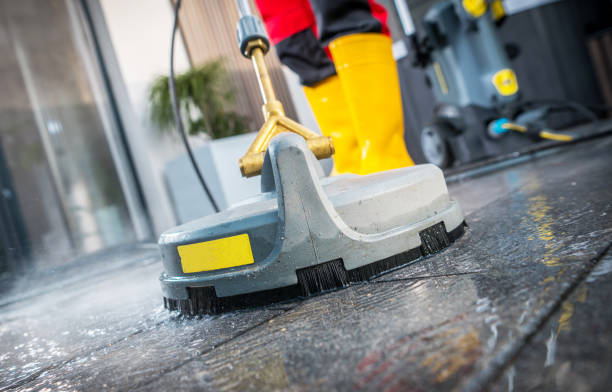 Best Pressure Washing Company Near Me  in Belle Rose, LA