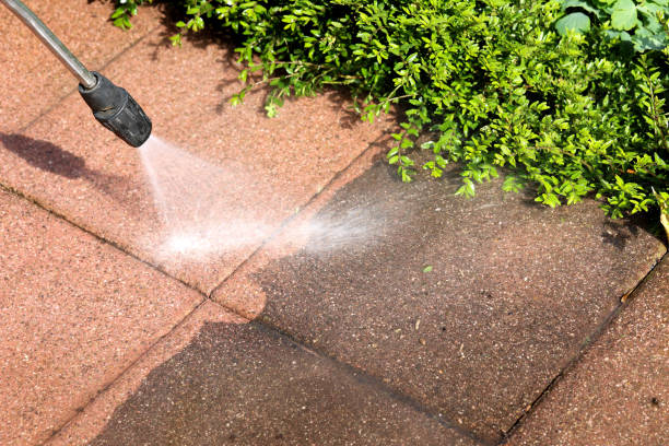Best Concrete Pressure Washing  in Belle Rose, LA